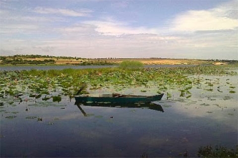 Khu du lịch Bàu Sen, Lệ Thủy