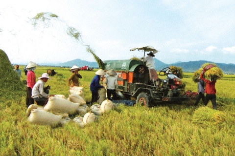 Quy hoạch tổng thể phát triển ngành Nông nghiệp tỉnh Quảng Bình đến năm 2020